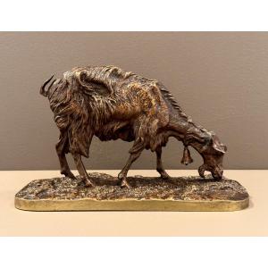 Grazing Goat - Bronze By Pierre-jules Mêne (1810 - 1879)