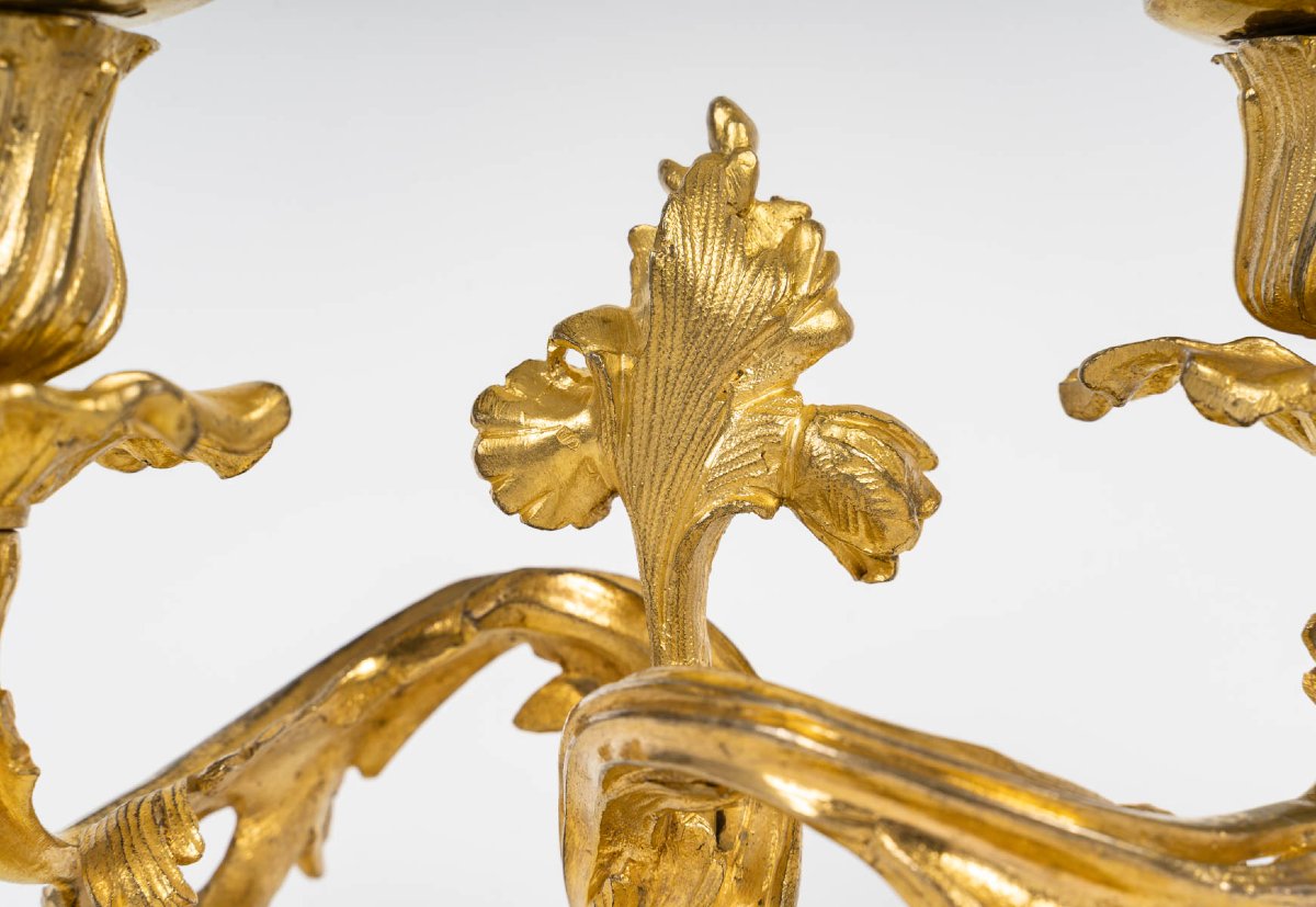  Louis XV Style Gilt Bronze End Tables "with Flowering Foliage". Circa 1880-photo-4