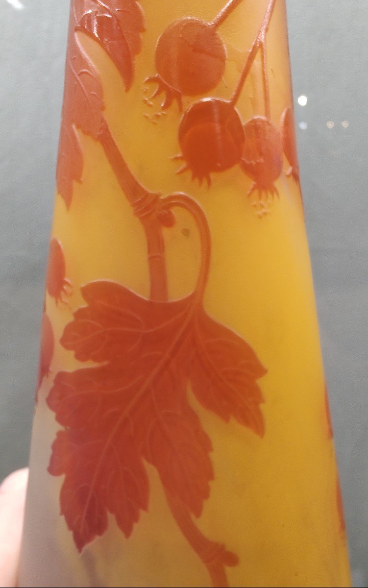 Galle Establishments (1904-1936) - Large Vase With Ampelopsis Decoration In Yellow-orange Tones-photo-4