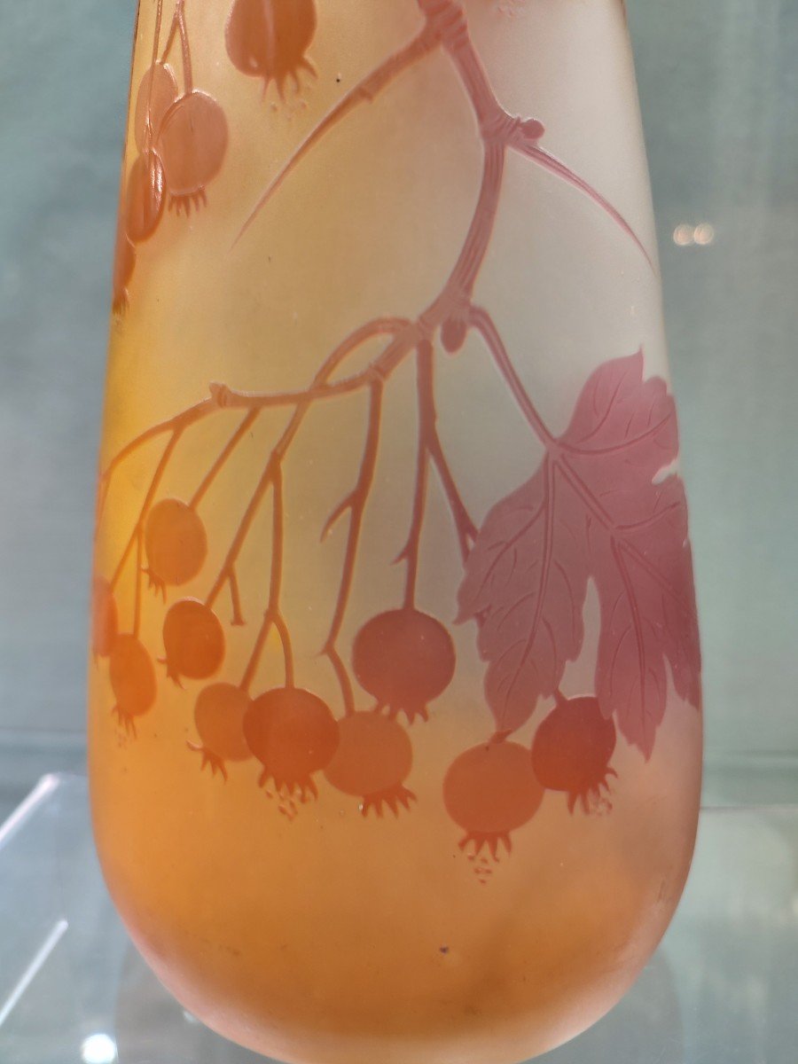 Galle Establishments (1904-1936) - Large Vase With Ampelopsis Decoration In Yellow-orange Tones-photo-5