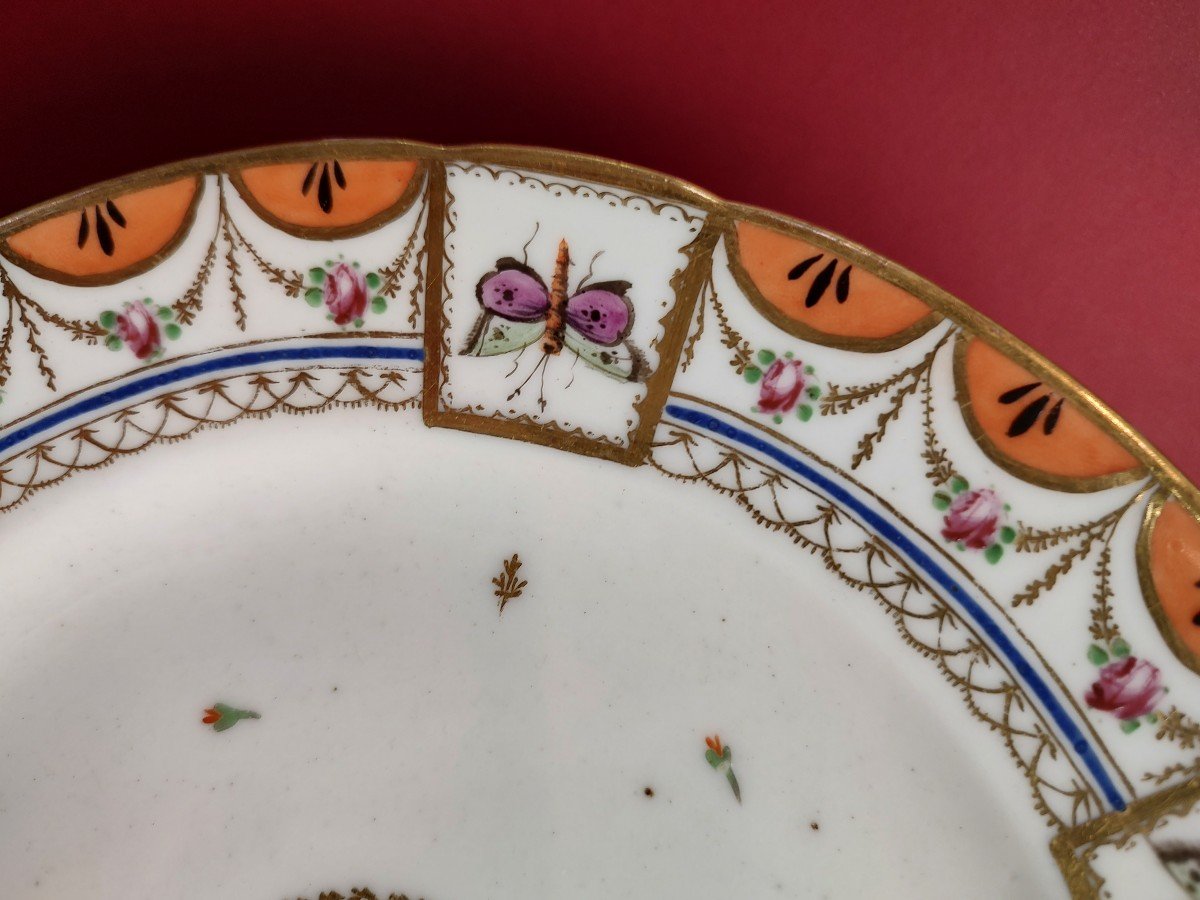 Paris - 18th Century - Plate With Butterfly Decor.-photo-3