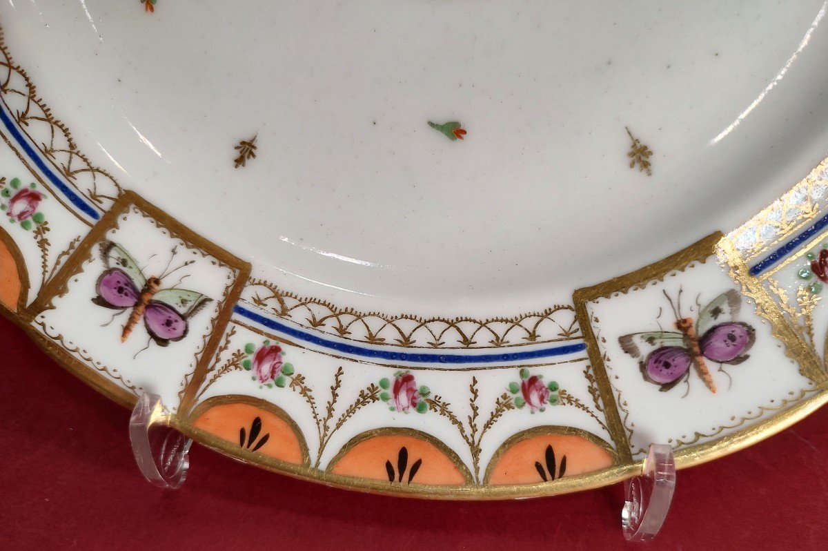 Paris - 18th Century - Plate With Butterfly Decor.-photo-4