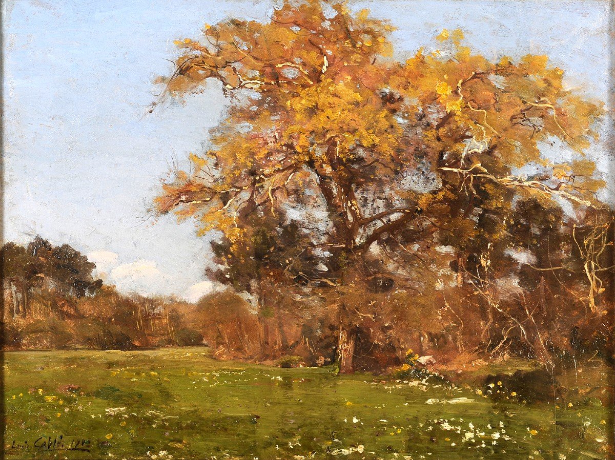 Louis Cabié (1853-1939) Oak Near Bordeaux Gironde Tree