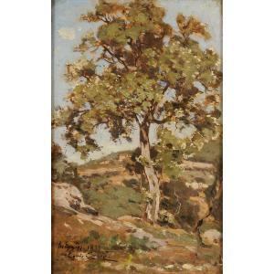 Louis Cabié (1853-1939) Holm Oaks In Les Eyzies Périgord Dordogne