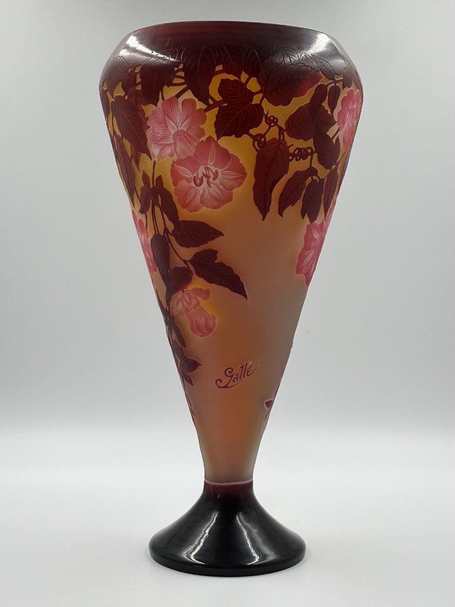 Vase Emille Gallé " Bignone"