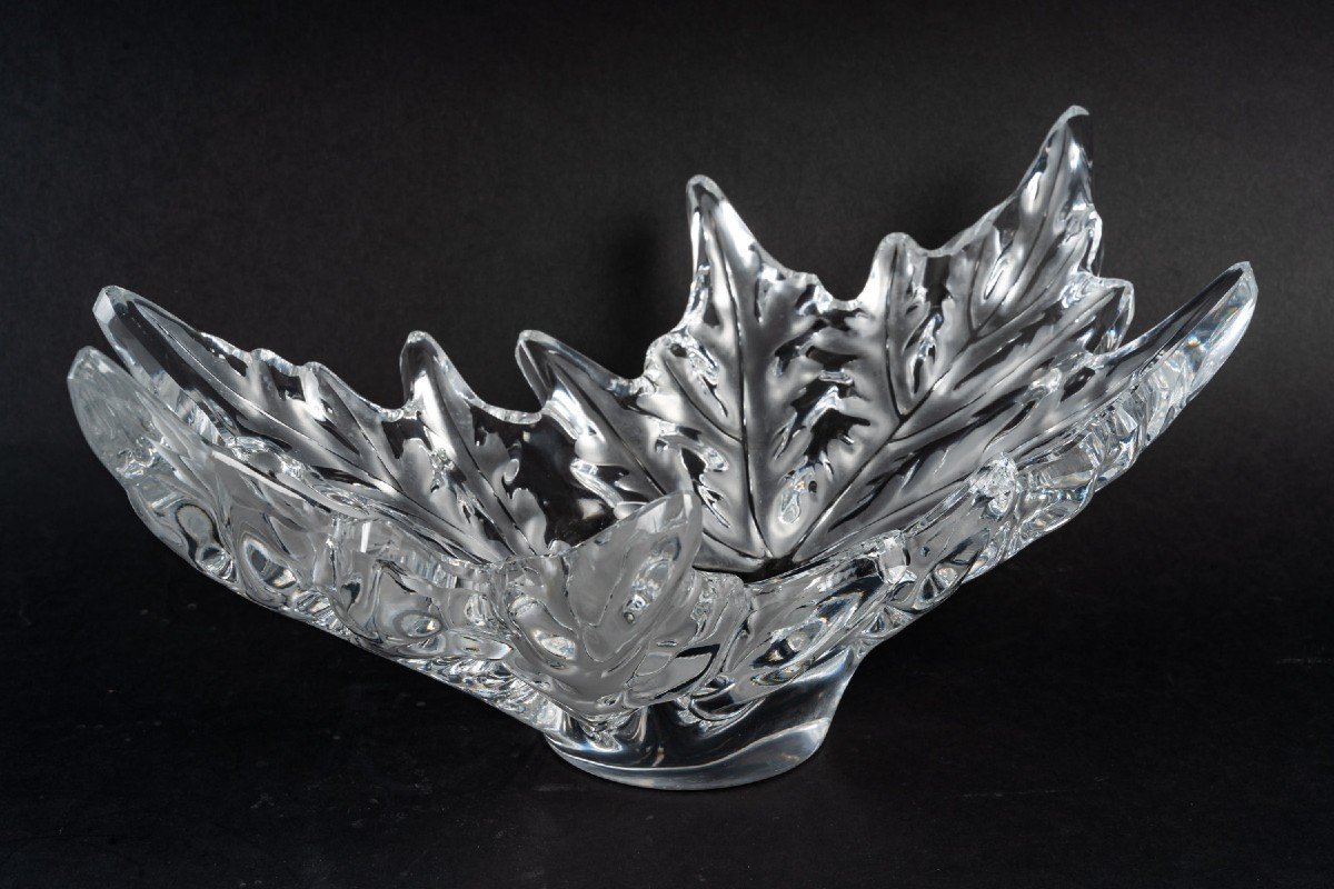 Maison Lalique Coupe Model -photo-2