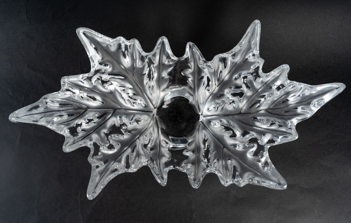 Maison Lalique Coupe Model -photo-1