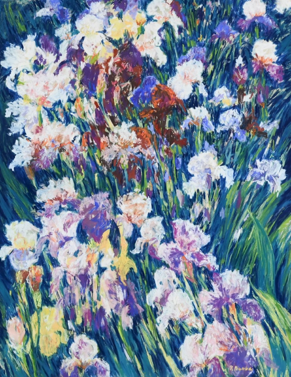  Rose Barbe: Large Iris 