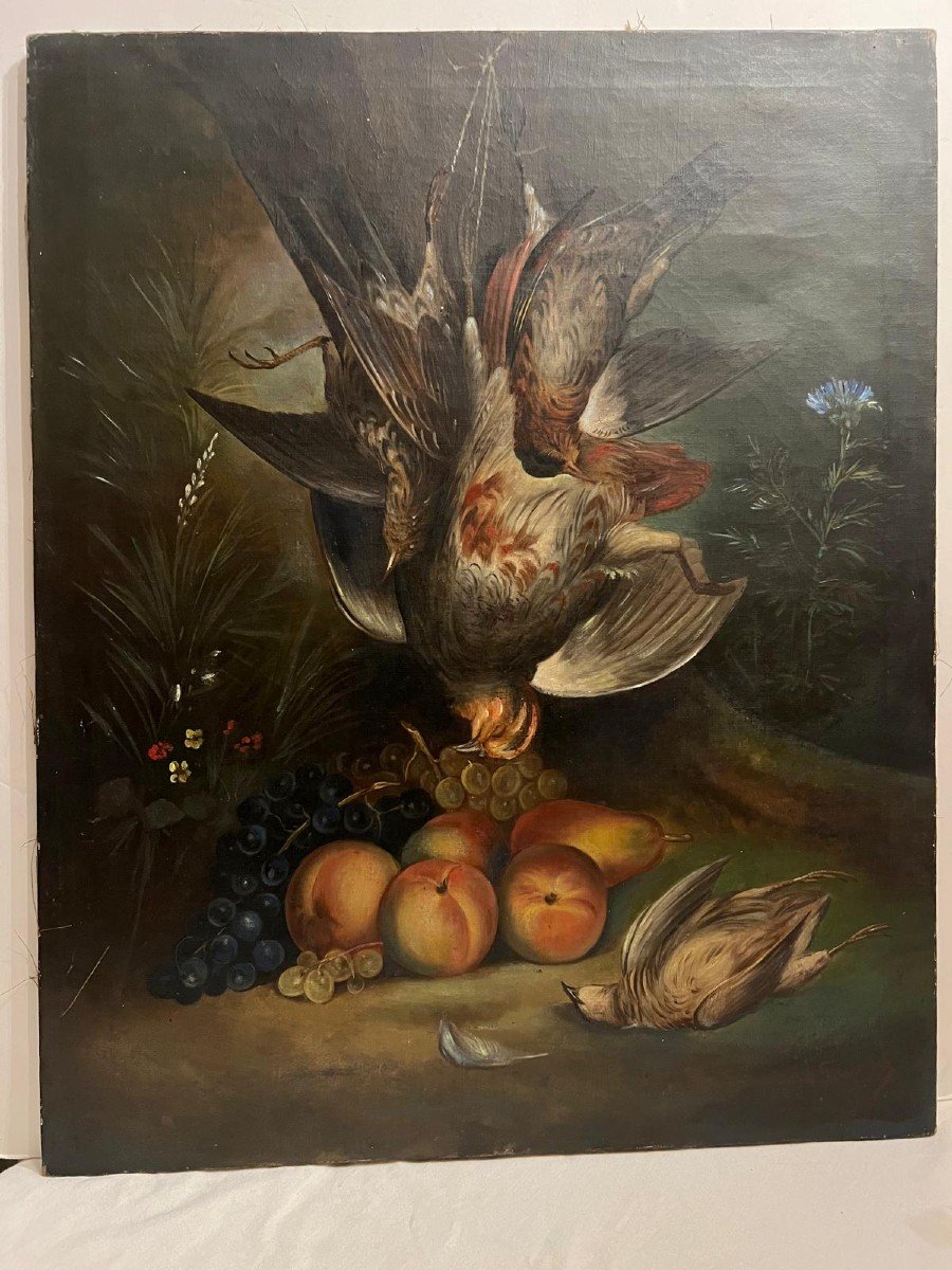 Tableau Signé Bas Droit Illisible, Natur  Morte, Fruits Et Oiseau -photo-3