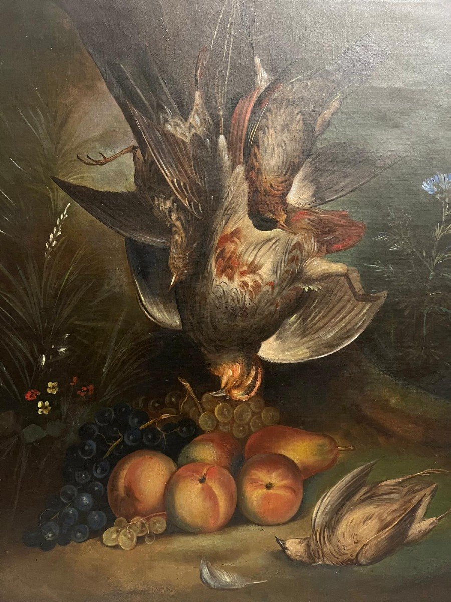 Tableau Signé Bas Droit Illisible, Natur  Morte, Fruits Et Oiseau -photo-2