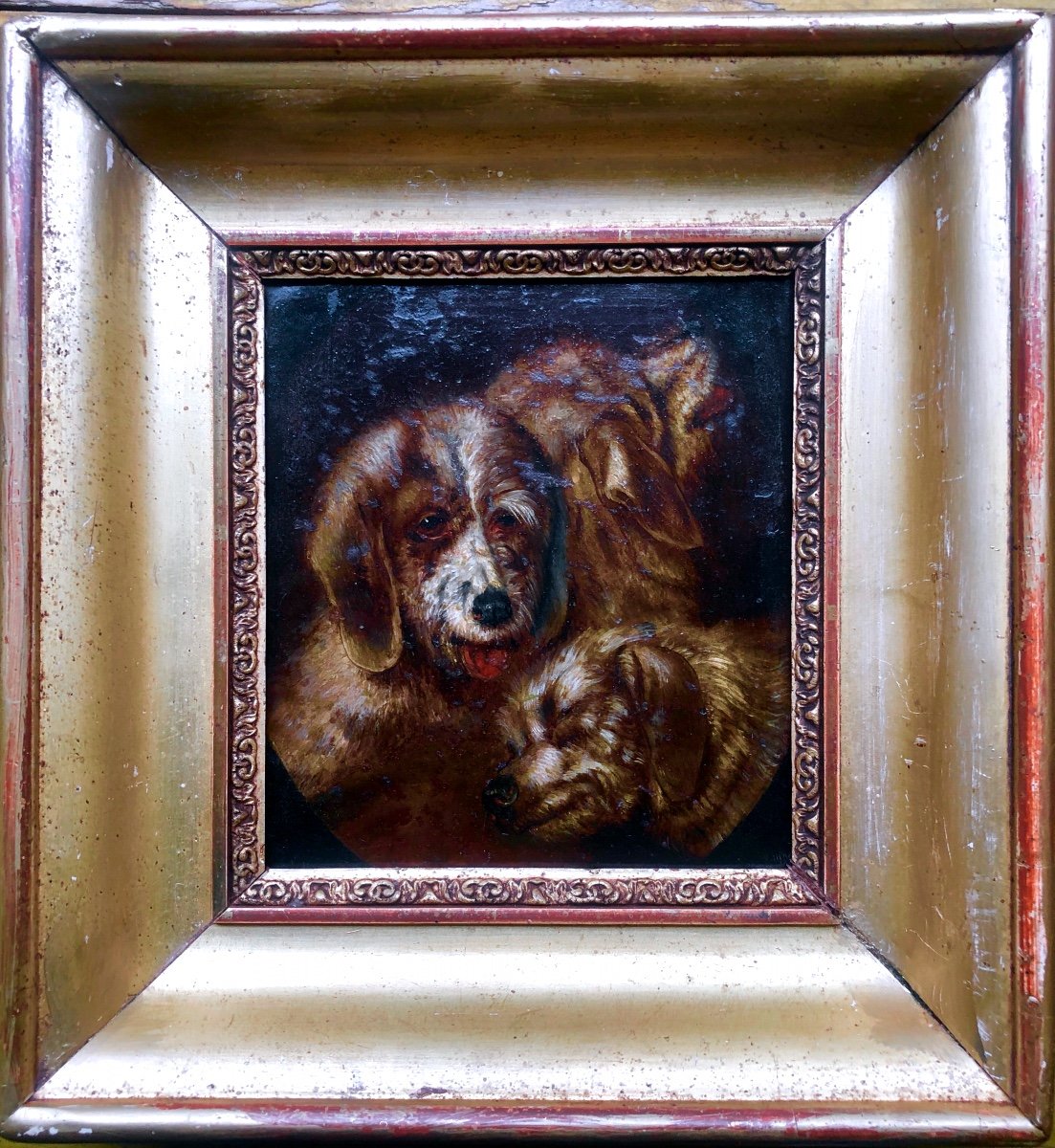 Portrait De Trois Chiens, XIX Siècle, Huile Sur Métal-photo-2