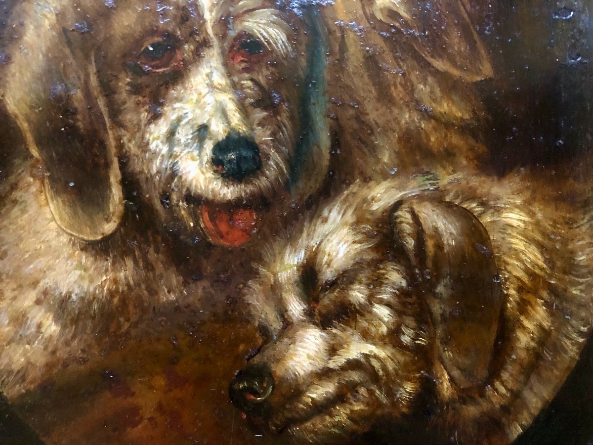 Portrait De Trois Chiens, XIX Siècle, Huile Sur Métal-photo-3