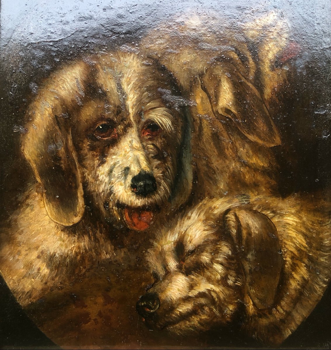 Portrait De Trois Chiens, XIX Siècle, Huile Sur Métal-photo-3