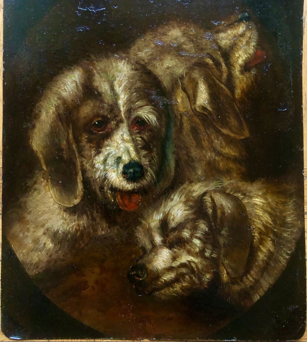 Portrait De Trois Chiens, XIX Siècle, Huile Sur Métal