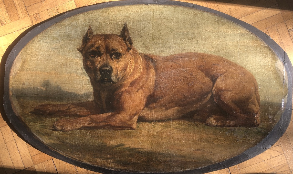 Ecole Française Fin XIX Ou Début XX Siècle, Chien Boxer Allongé , Huile Sur Bois-photo-3