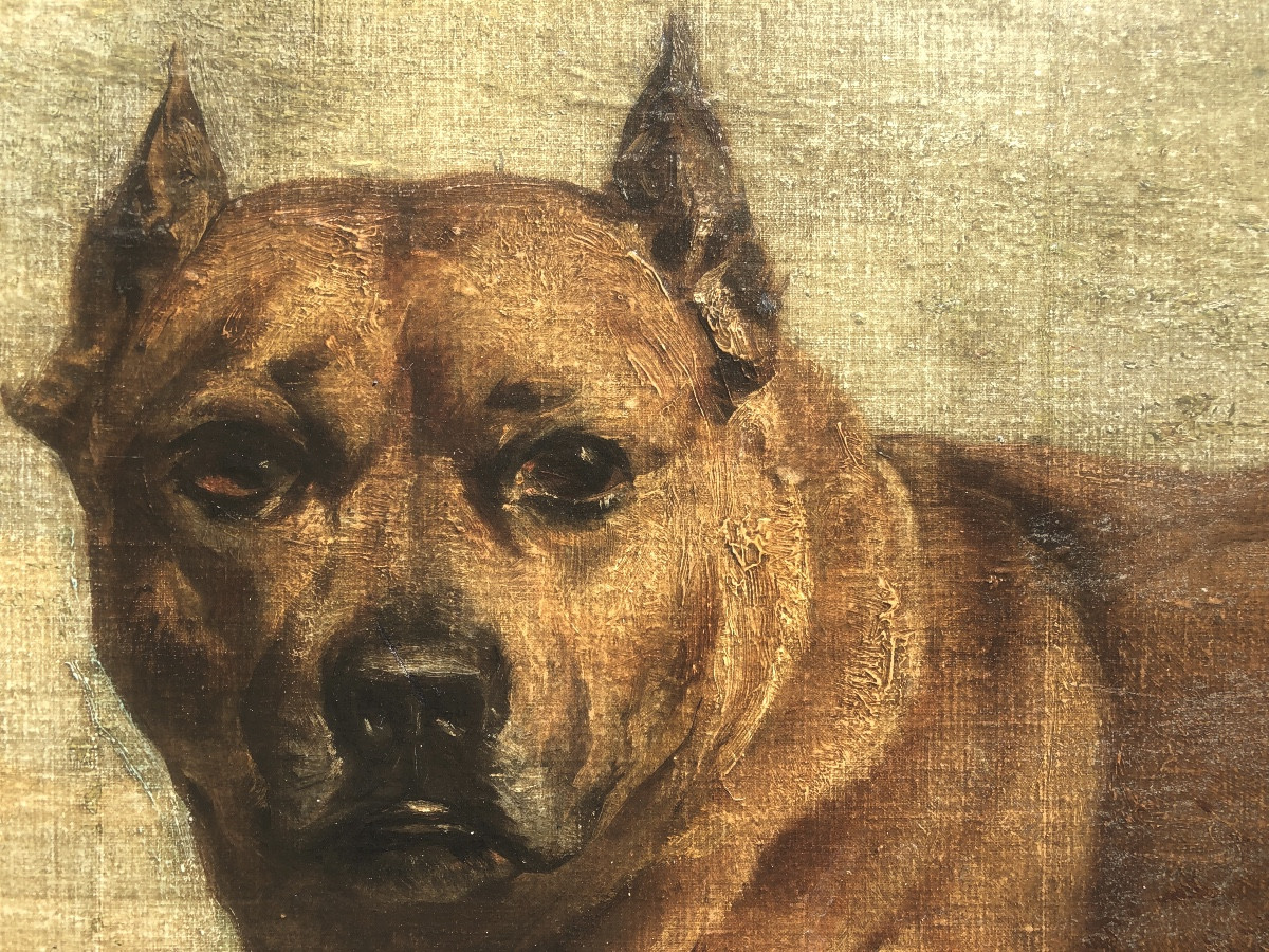 Ecole Française Fin XIX Ou Début XX Siècle, Chien Boxer Allongé , Huile Sur Bois-photo-4