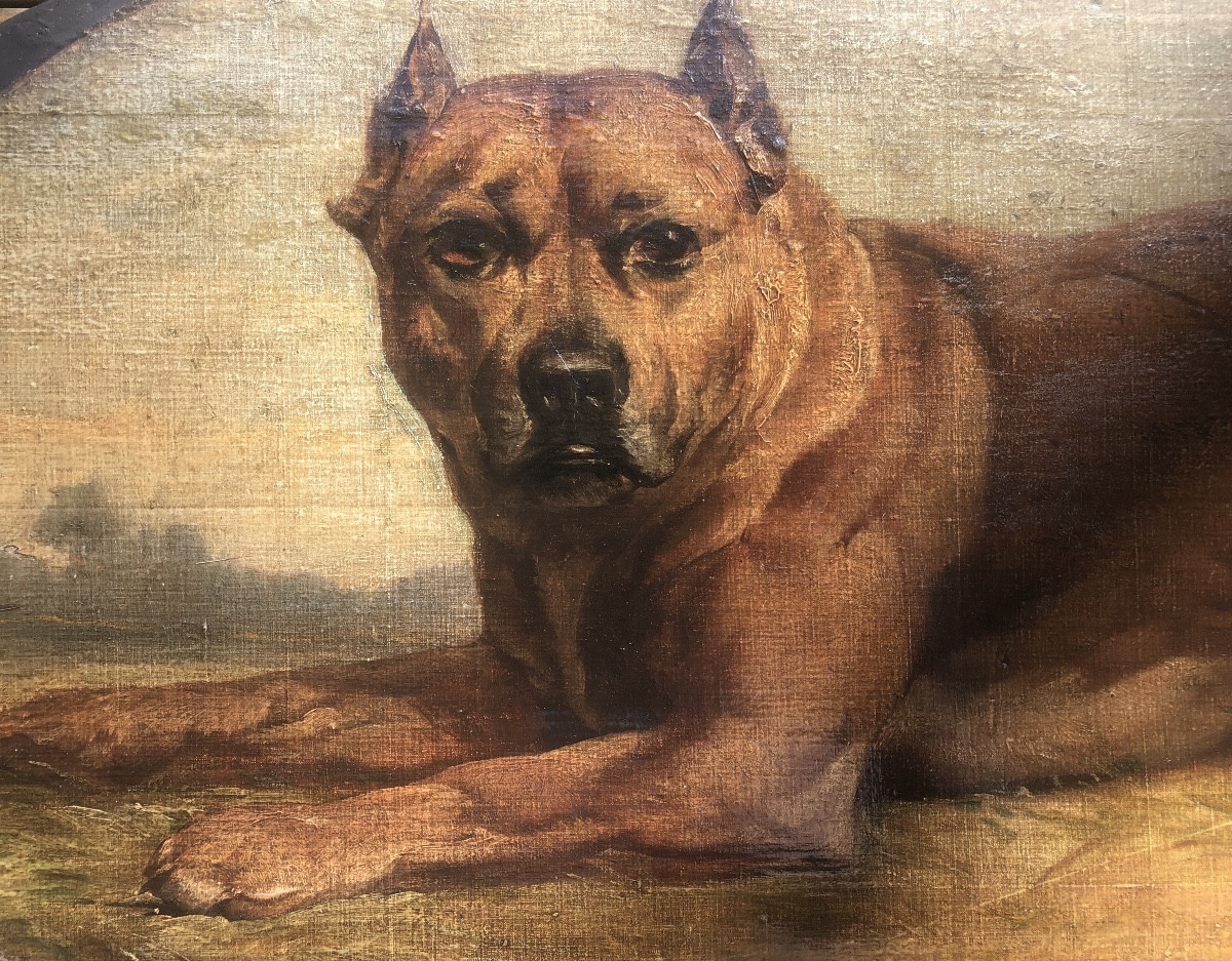 Ecole Française Fin XIX Ou Début XX Siècle, Chien Boxer Allongé , Huile Sur Bois