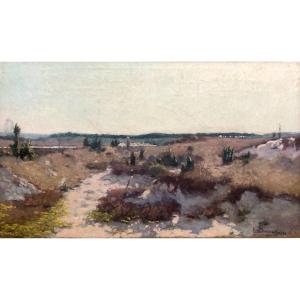 Country Landscape 1893, Oil On Canvas, Painter To Discover