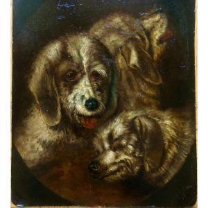 Portrait De Trois Chiens, XIX Siècle, Huile Sur Métal