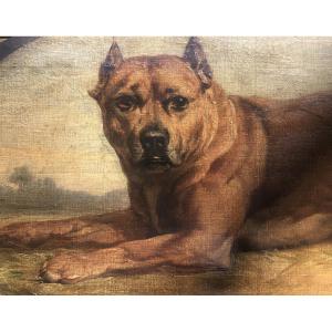 Ecole Française Fin XIX Ou Début XX Siècle, Chien Boxer Allongé , Huile Sur Bois