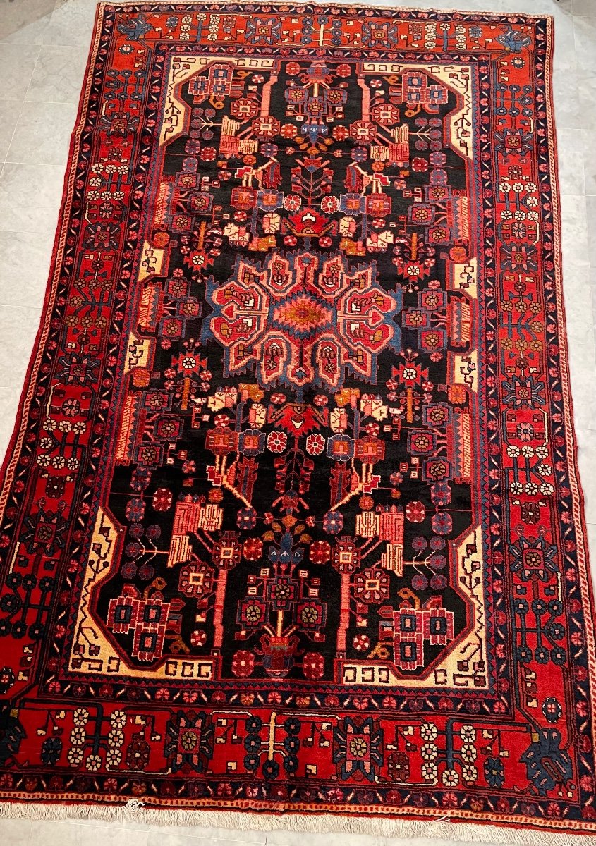 Tapis Nahavand Iran 291 X 175-photo-4