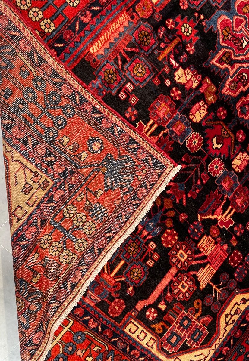 Tapis Nahavand Iran 291 X 175-photo-3