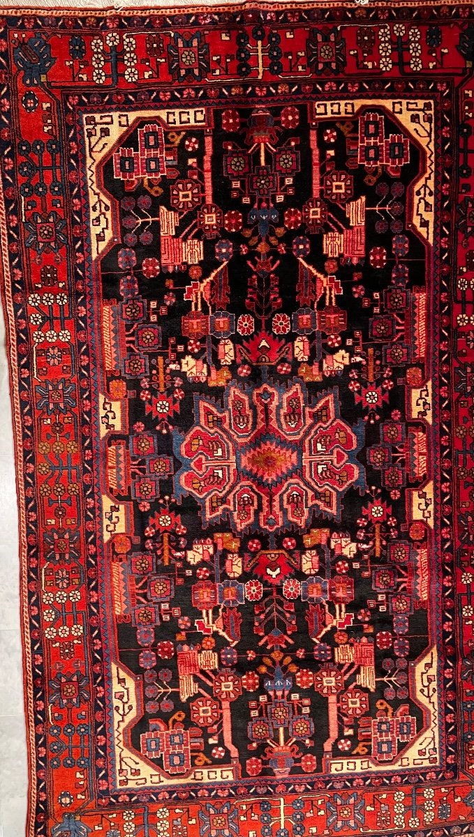 Tapis Nahavand Iran 291 X 175