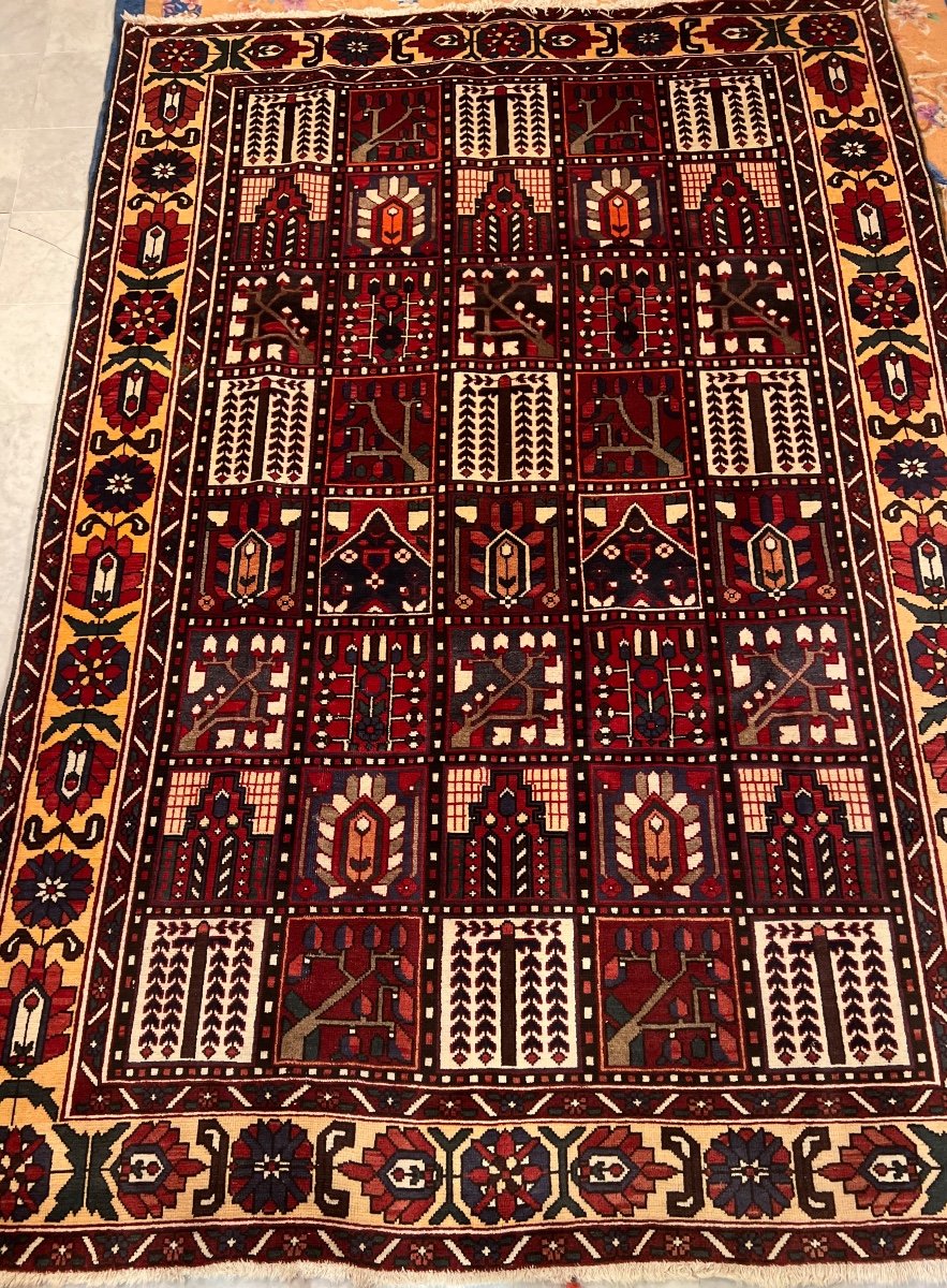 Bakhtiar Iran Rug 310 X 208-photo-2