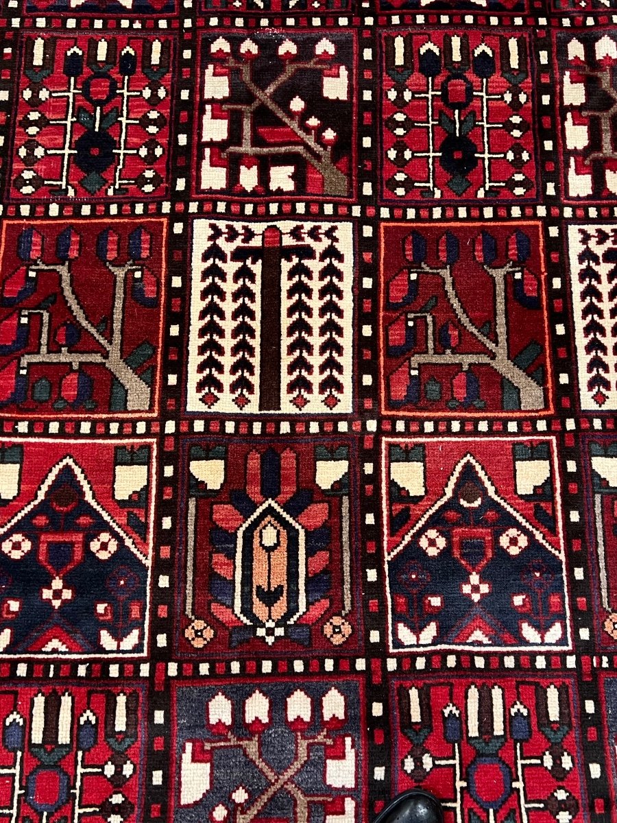 Bakhtiar Iran Rug 310 X 208-photo-3