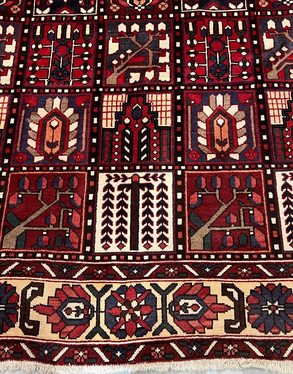 Bakhtiar Iran Rug 310 X 208-photo-4