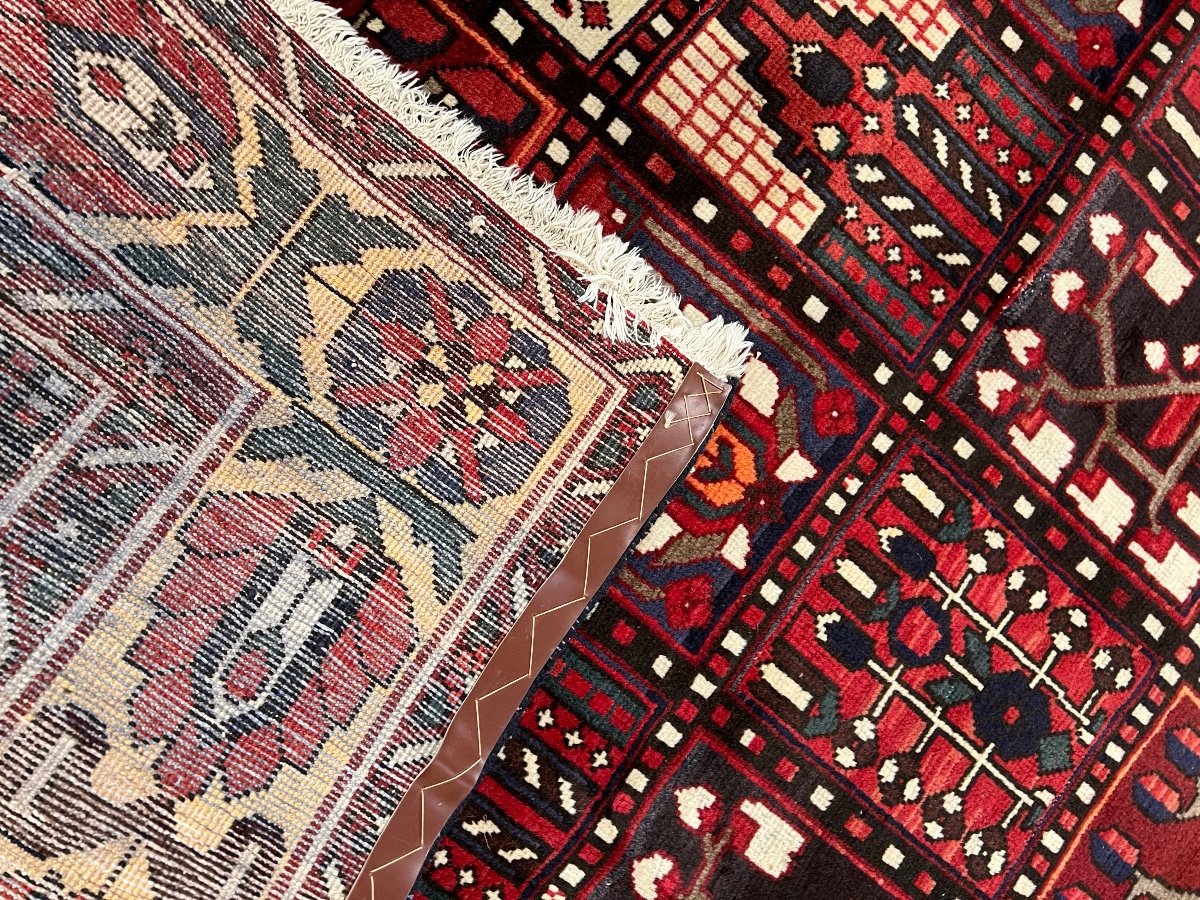 Bakhtiar Iran Rug 310 X 208-photo-1