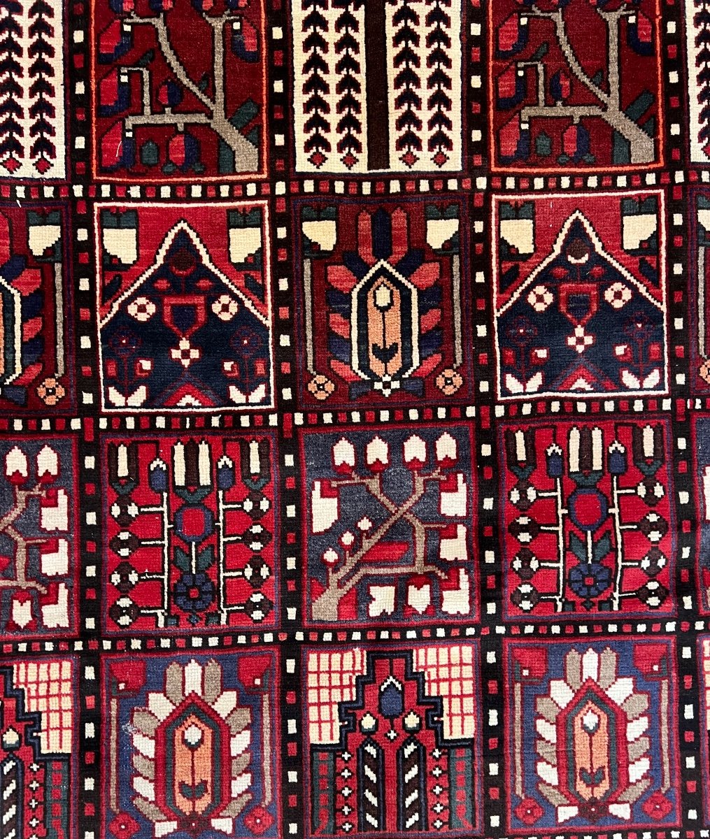 Bakhtiar Iran Rug 310 X 208-photo-2