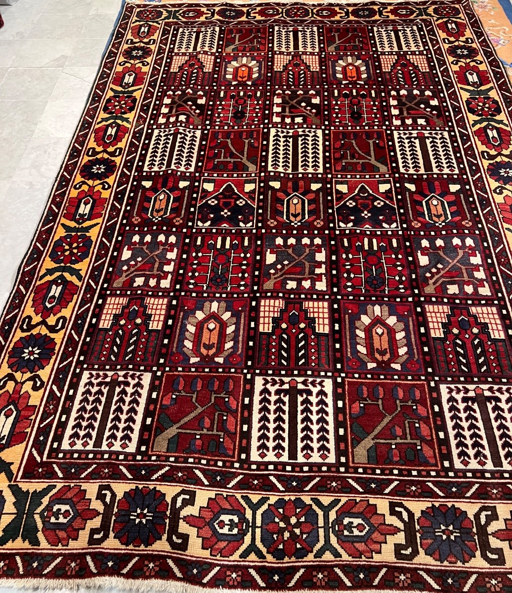 Bakhtiar Iran Rug 310 X 208