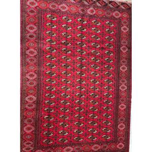 Tapis Boukhara  Ouzbékistan 299 X 201