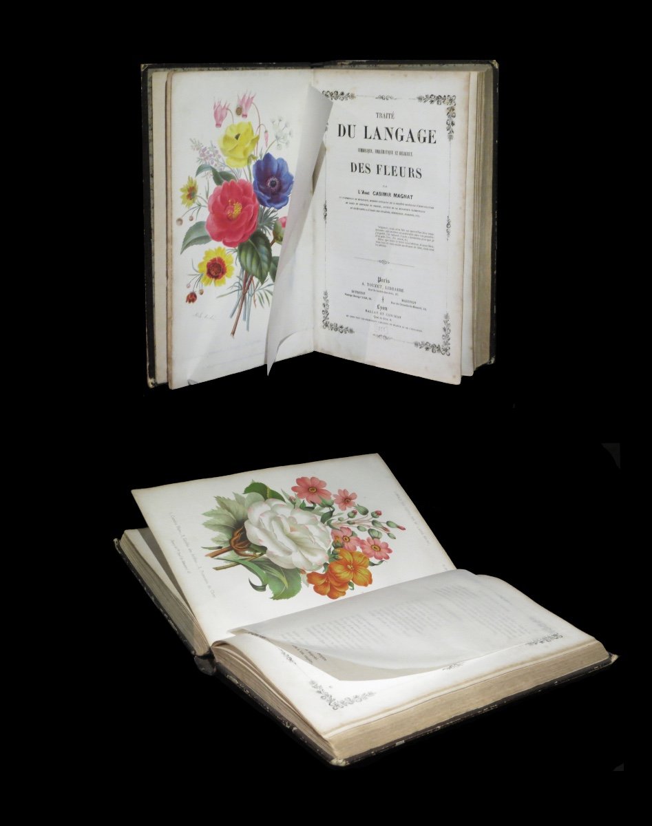 [horticultural Botany] Magnat (casimir) - Treatise On The Language Of Flowers. 31 Pl. 1855.-photo-2