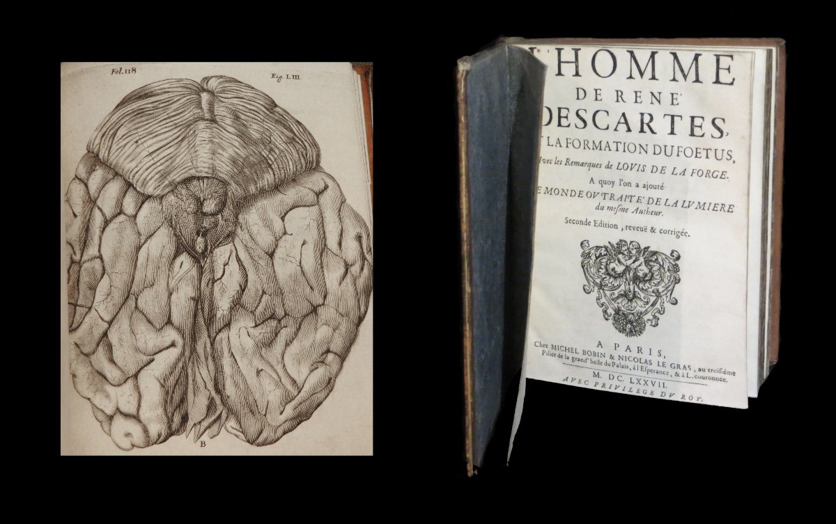 [philosophy Medicine Anatomy Meditations Passions Of The Soul Man] Descartes - Works 1650-photo-3