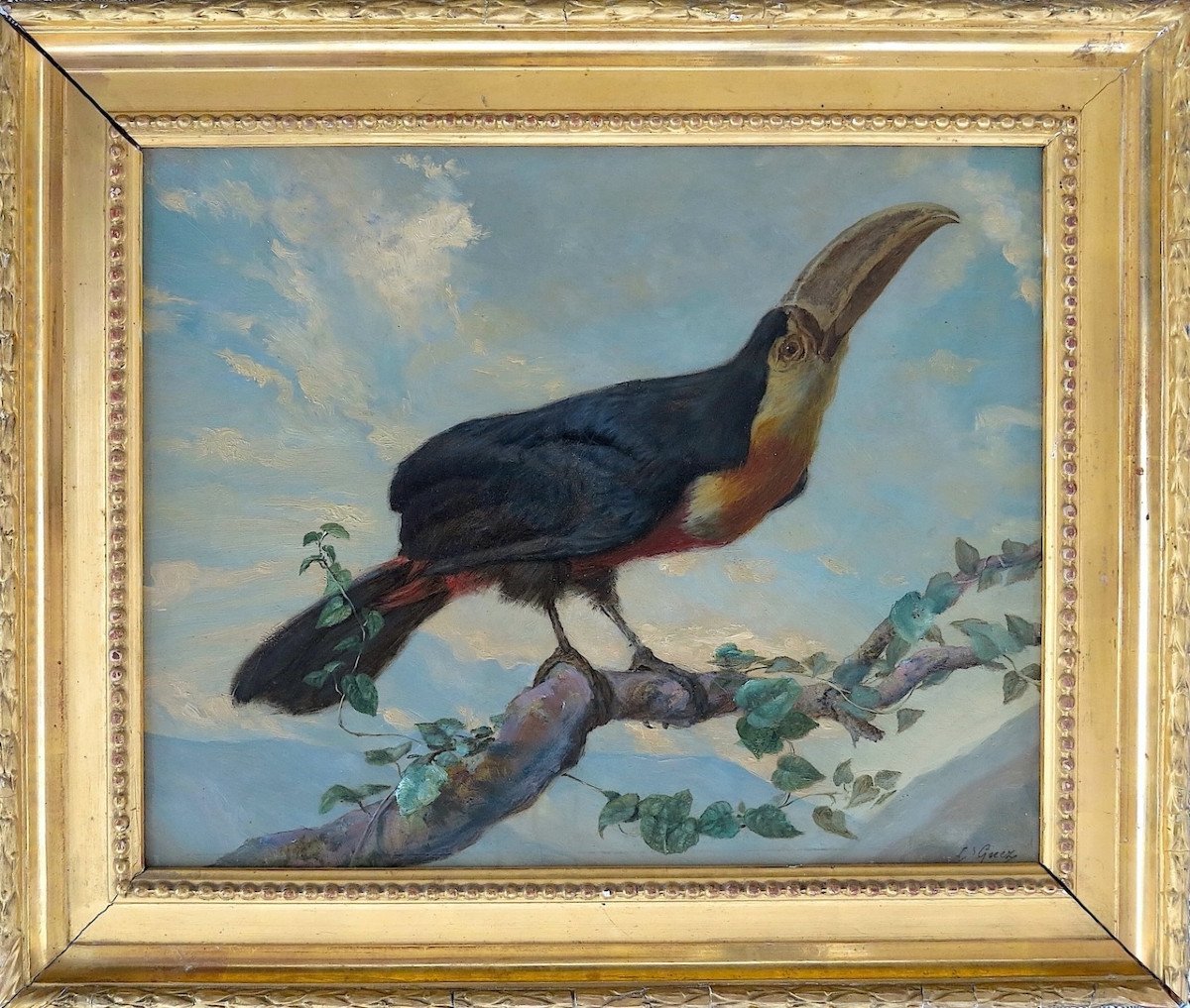 Louis Guery (1828–1893) - Red-bellied Toucan - Oil On Paper