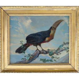 Louis Guery (1828–1893) - Red-bellied Toucan - Oil On Paper