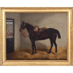 John Dalby (1810–1865) - Cheval du régiment du 20ème Hussards britannique - Huile