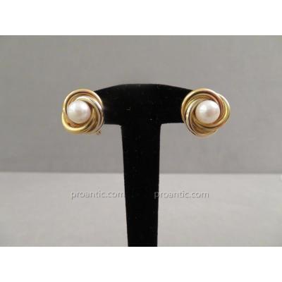 Gold And Pearl Earrings