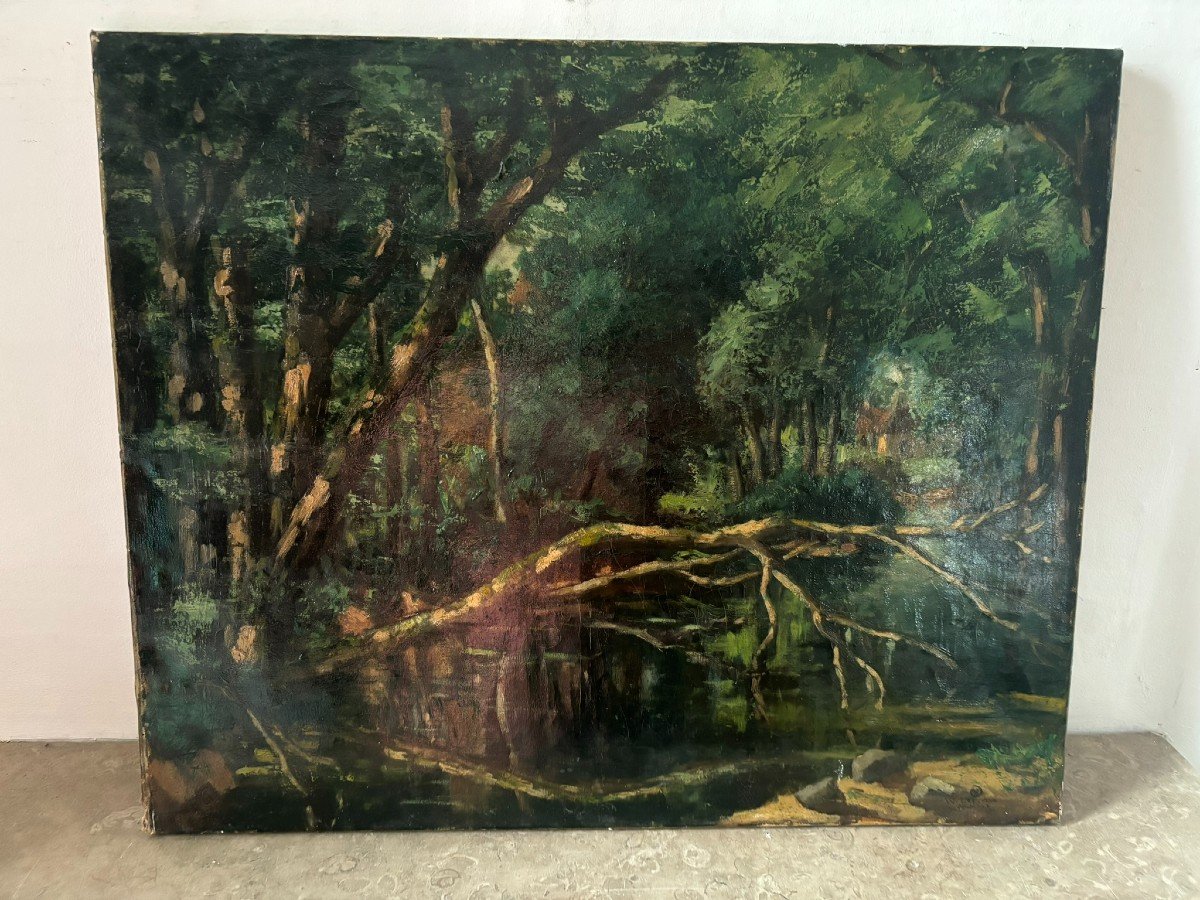 20th Century Forest Landscape-photo-3