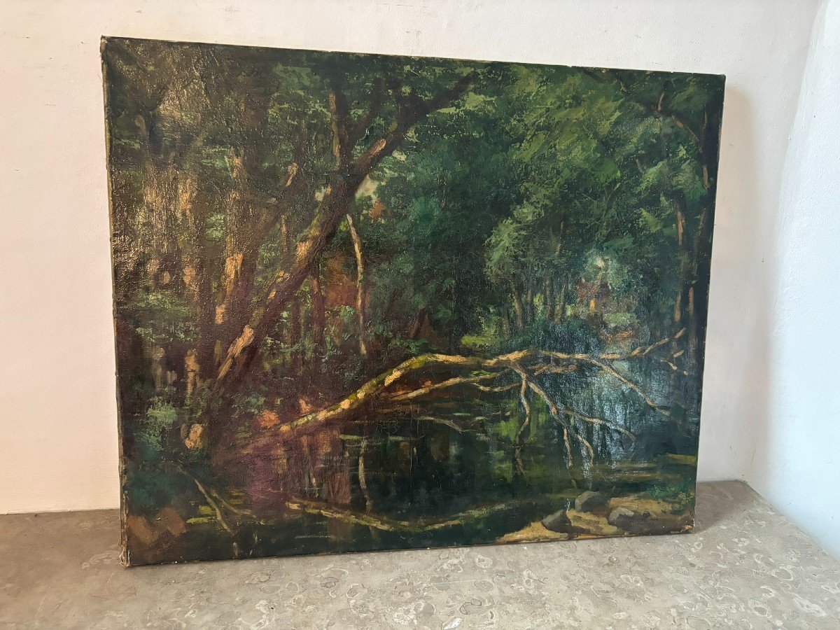 20th Century Forest Landscape