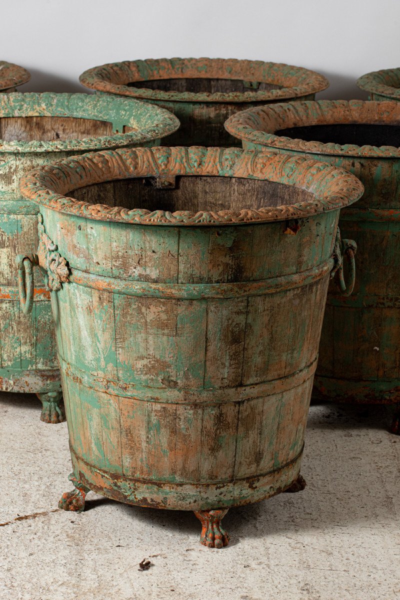 Set Of Six Orange Tree Planters, France, Late 19th Century, Sold By Pair-photo-2