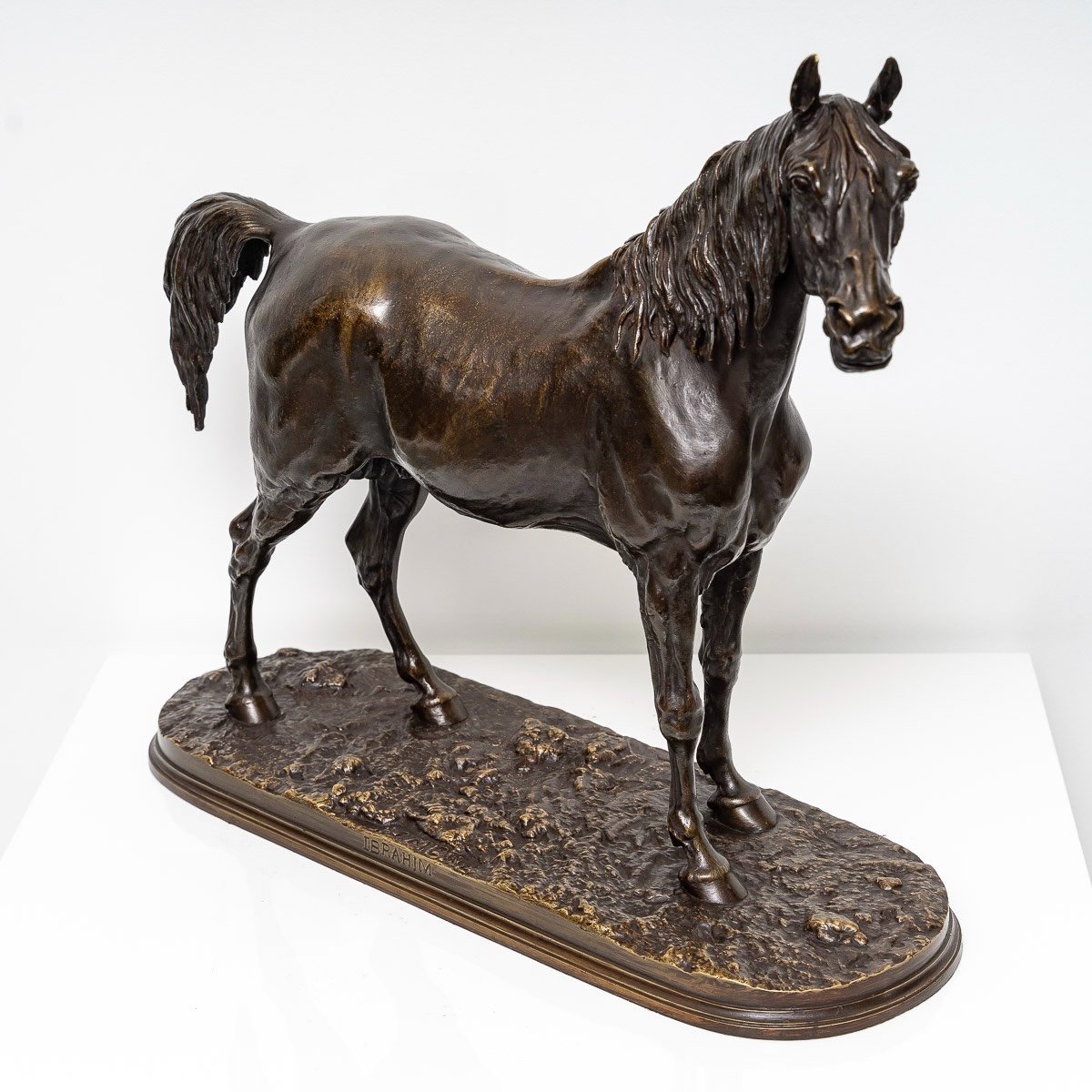 Sculpture - Ibrahim (n°1) , Arabian Horse By Pierre - Jules Mêne (1810-1879) - Bronze XIXth Century-photo-3