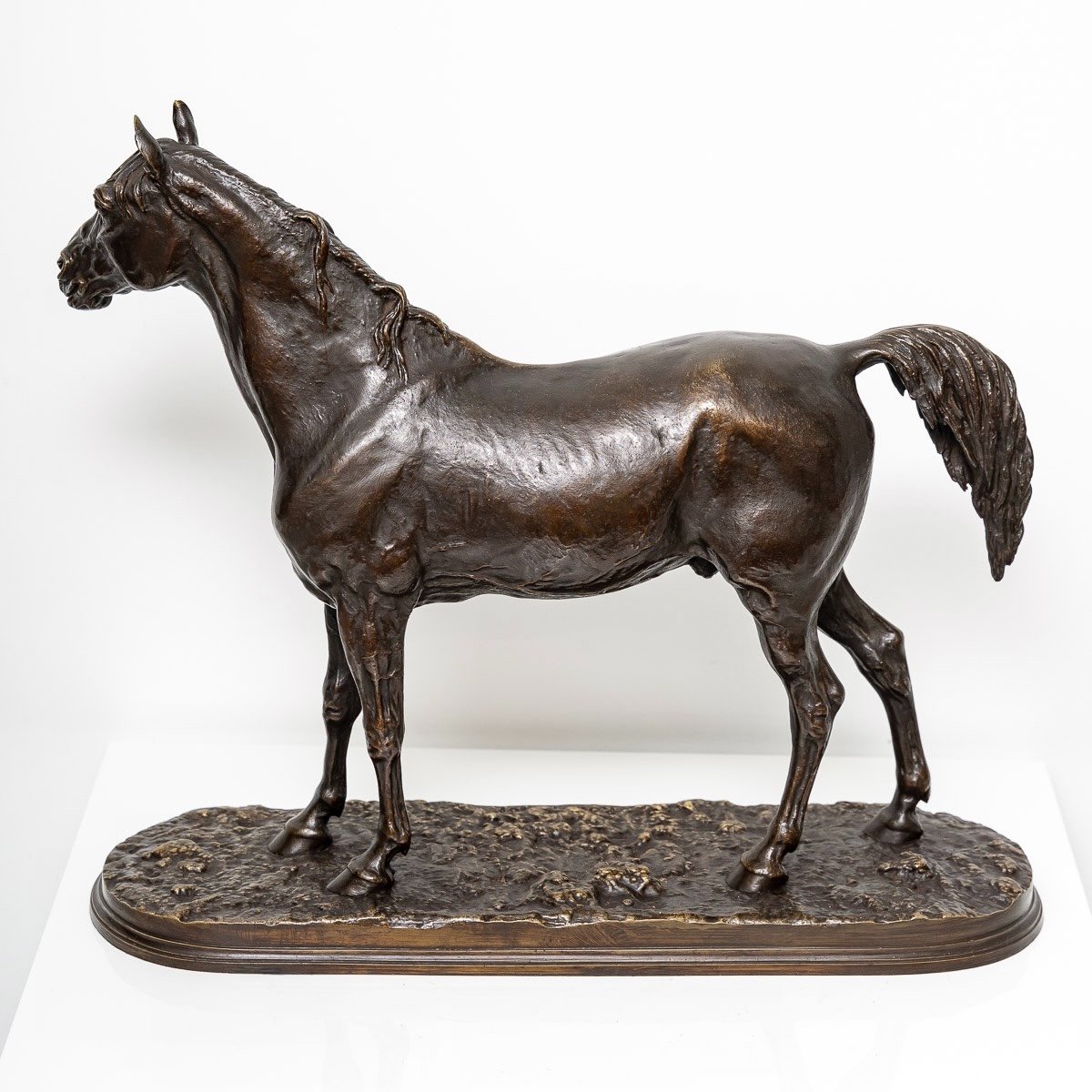 Sculpture - Ibrahim (n°1) , Arabian Horse By Pierre - Jules Mêne (1810-1879) - Bronze XIXth Century-photo-4