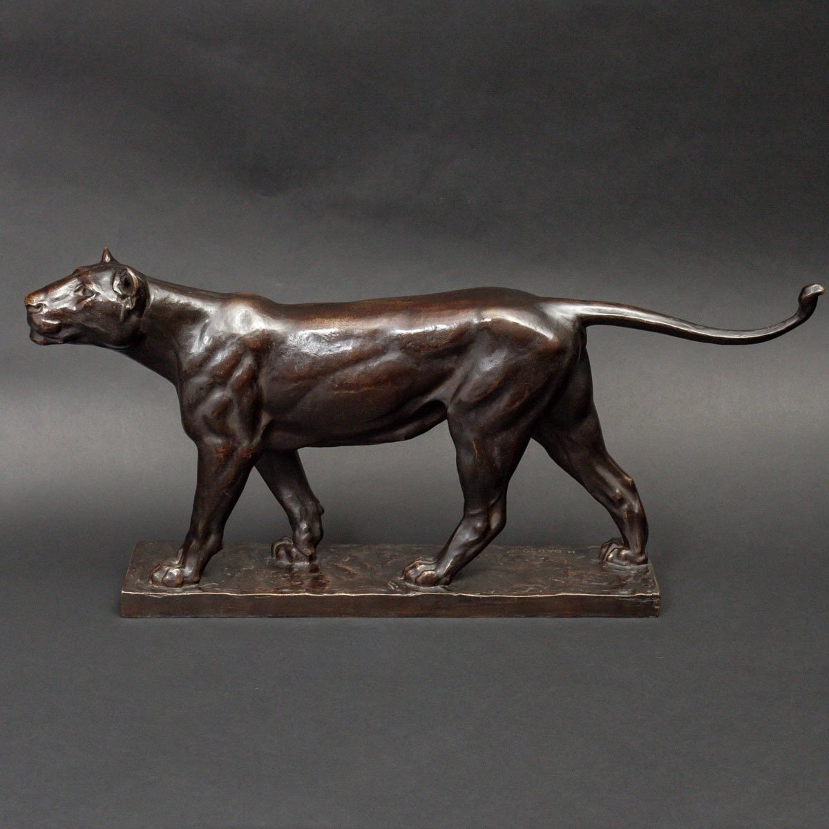 Sculpture - Marching Lioness , Johannes Darsow (1877-1946) - Bronze-photo-2