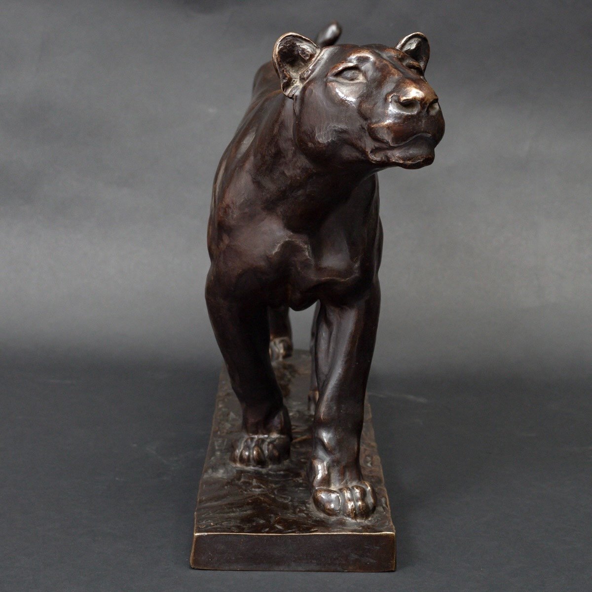 Sculpture - Marching Lioness , Johannes Darsow (1877-1946) - Bronze-photo-2