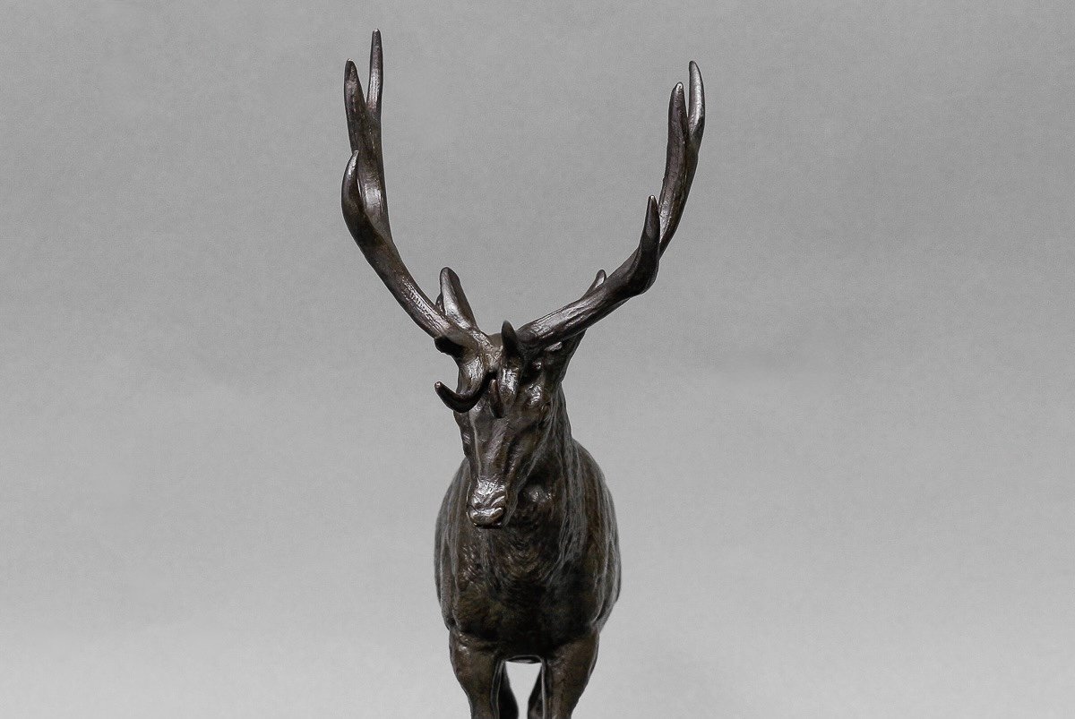 Sculpture - Deer , Paul - Edouard Delabrierre (1829-1912) - Bronze-photo-4