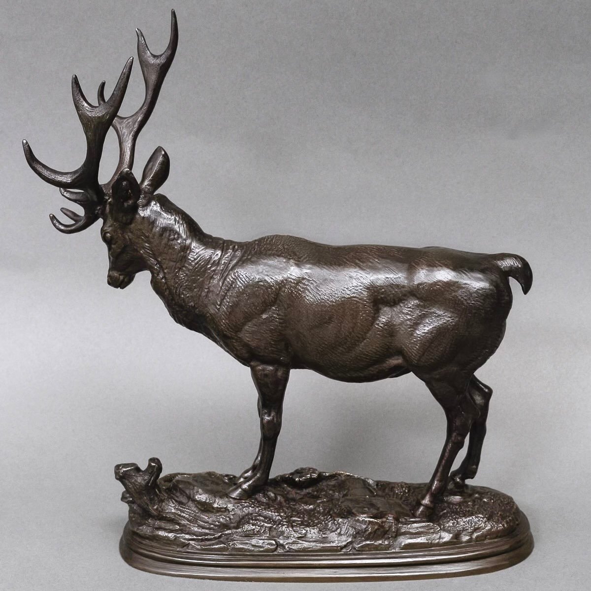 Sculpture - Deer , Paul - Edouard Delabrierre (1829-1912) - Bronze-photo-1