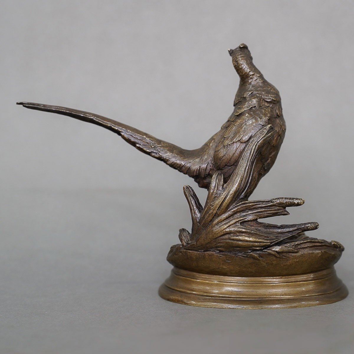 Sculpture - Pheasant , Jules Moigniez (1835-1894) - Bronze-photo-3